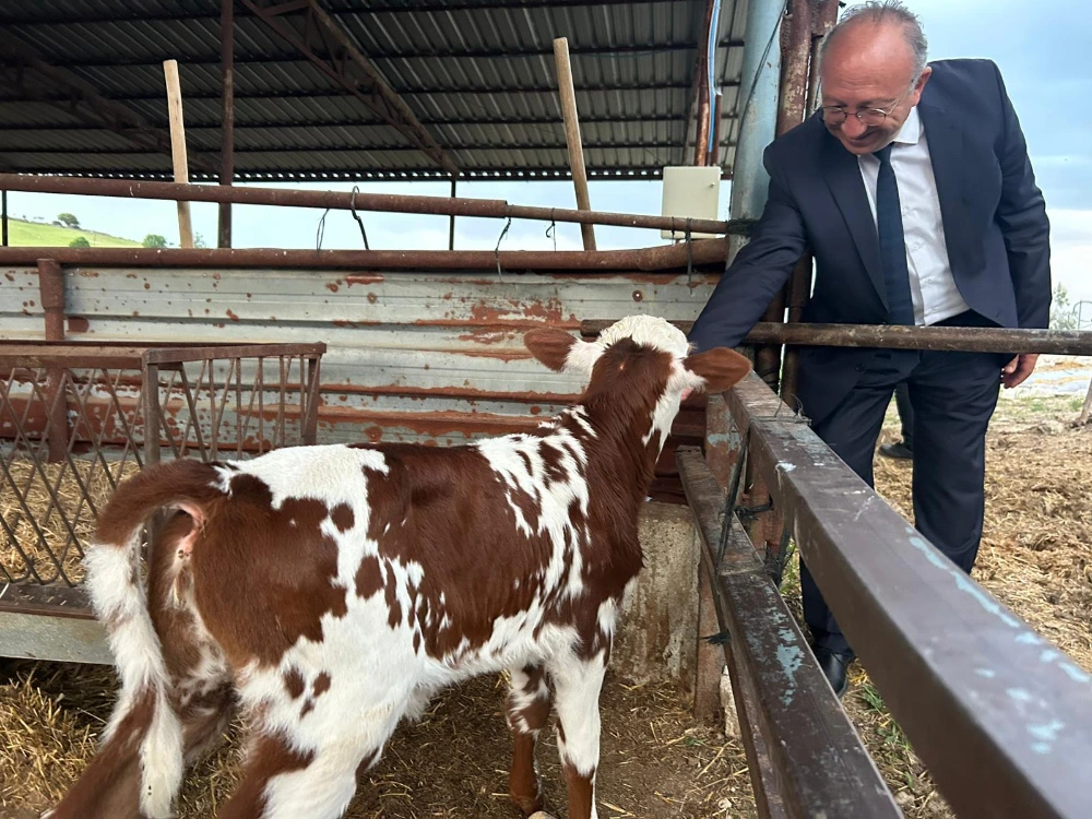 Selendi’de Üreticilere “Tek Dam Projesi” Anlatıldı